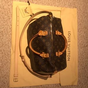 COPY - Louis Vuitton Speedy Bag